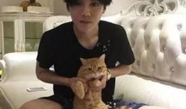 爆料鹿晗婚房视频大全,独家视频带你领略明星豪宅风采